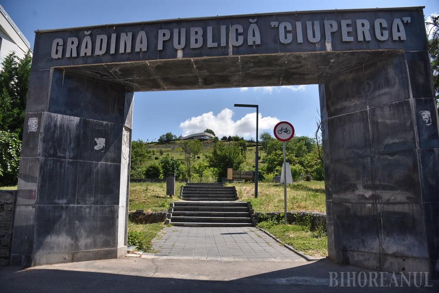 Dealul Ciuperca din Oradea, cu vegetație și structuri degradate.